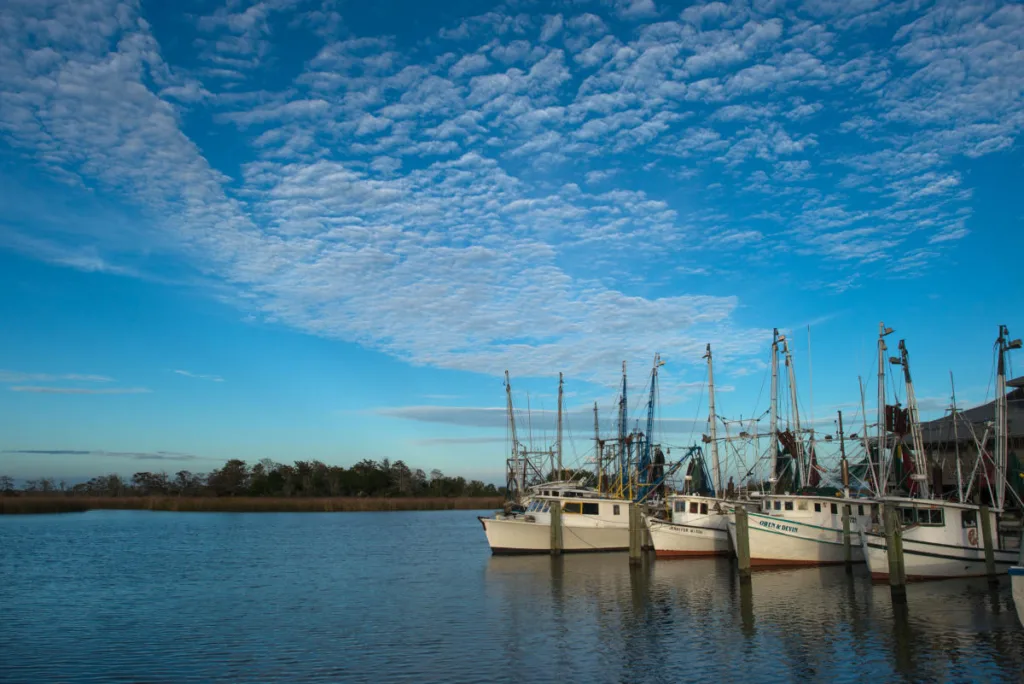 fishing boats on the Apalachicola 
